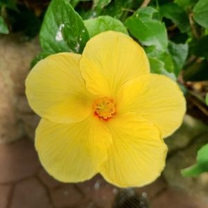 Meet your Posher, Marie